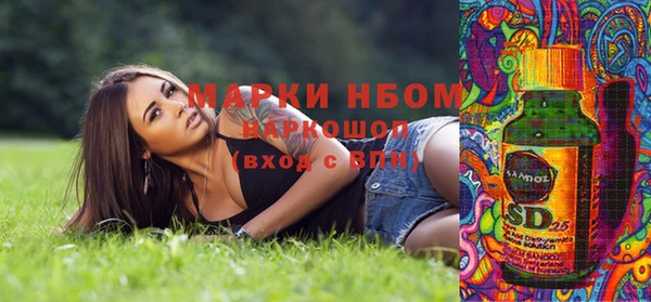 дживик Таштагол